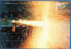 Metallizing gun